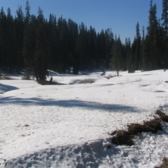 IMG 3256