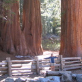IMG_3257.JPG