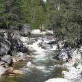 IMG_3293.JPG