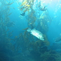 IMG_3330.JPG