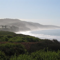 IMG_3336.jpg