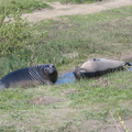 IMG 3341