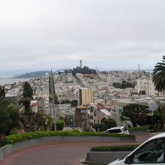 IMG 3422