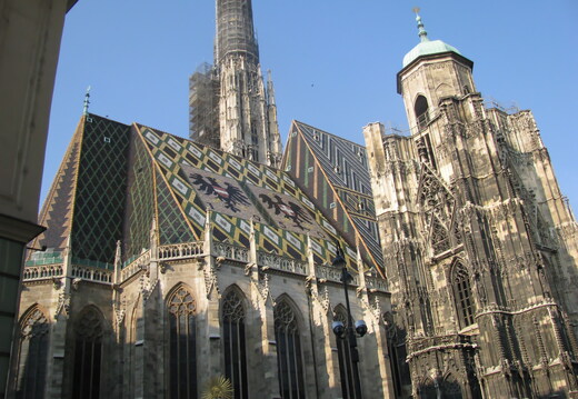 IMG 0274