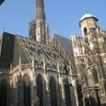 IMG 0274