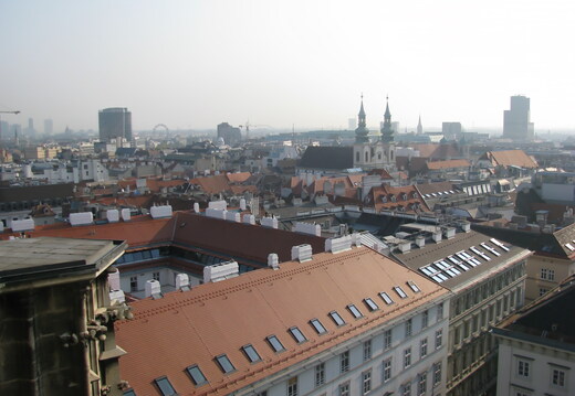 IMG 0278