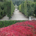 IMG 0324