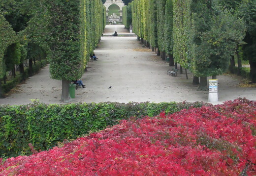 IMG 0324