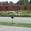 IMG 0325