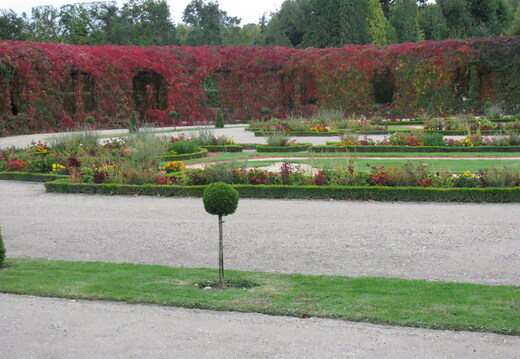 IMG 0325