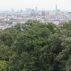 IMG 0342