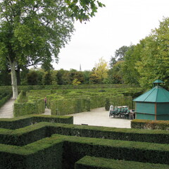 IMG 0350