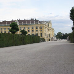 IMG 0354