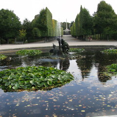 IMG 0357
