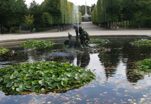IMG 0357