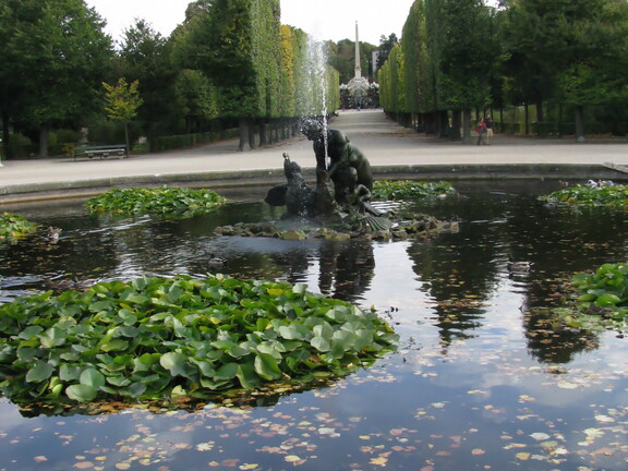 IMG 0357