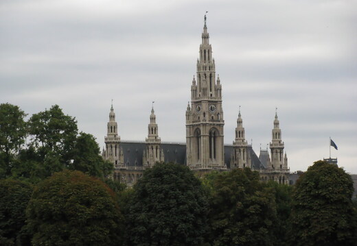 IMG 0370