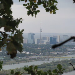 IMG 0393