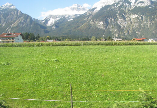 IMG 0415