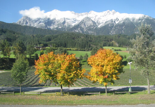 IMG 0418