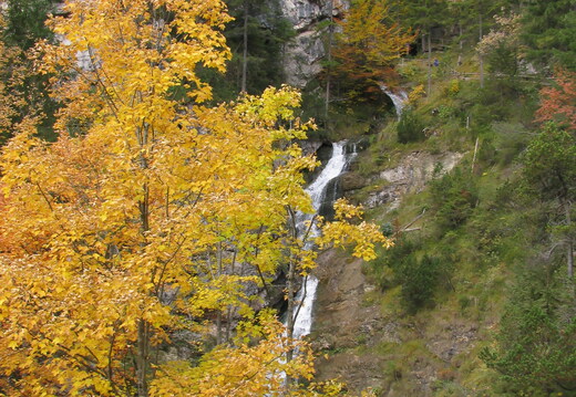 IMG 0448