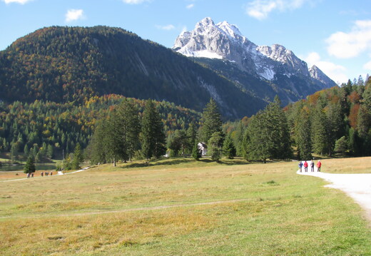 IMG 0451