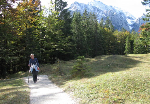 IMG 0458