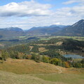 IMG 0459