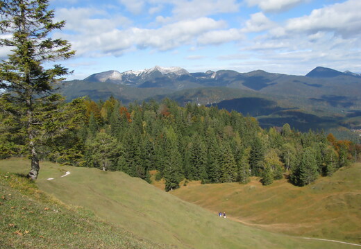 IMG 0461