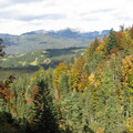 IMG 0469