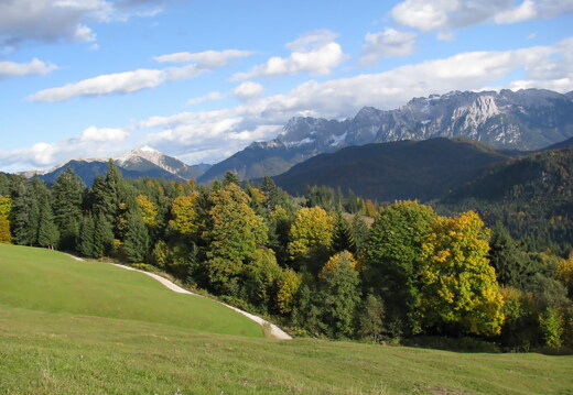 IMG 0484