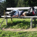 IMG 0494