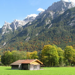 IMG 0508