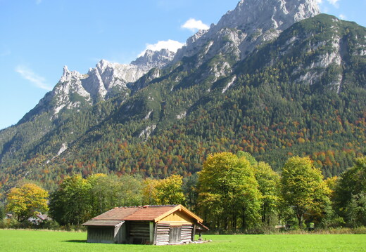 IMG 0508