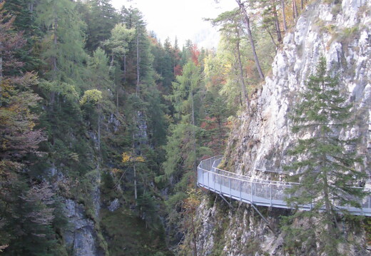 IMG 0512