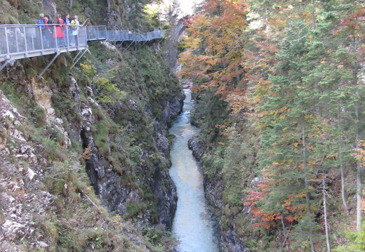 IMG 0519
