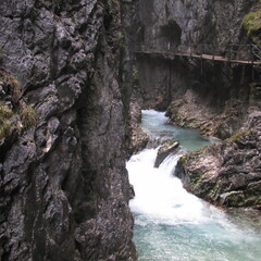 IMG 0529
