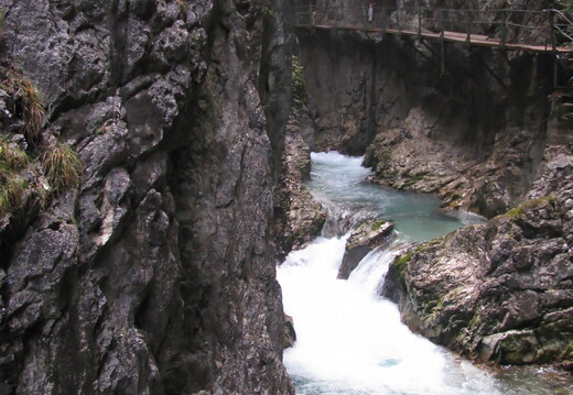 IMG 0529