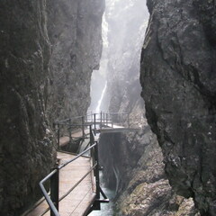 IMG 0530