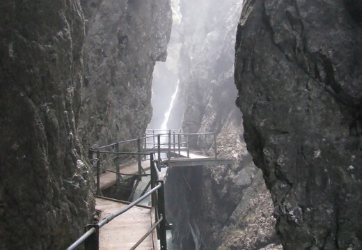 IMG 0530