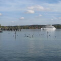 IMG 0552