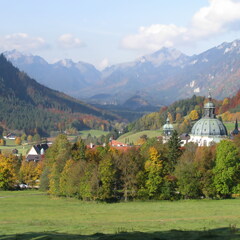 IMG 0570