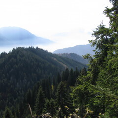 IMG 0586