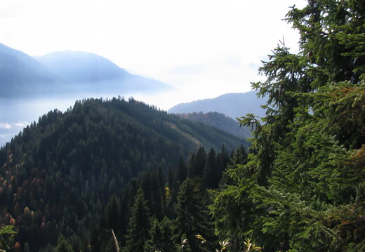 IMG 0586