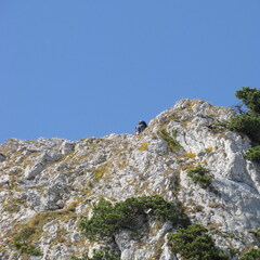 IMG 0592