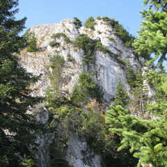 IMG 0593