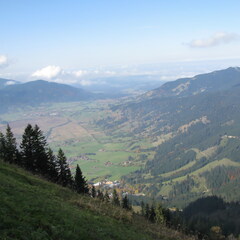 IMG 0602