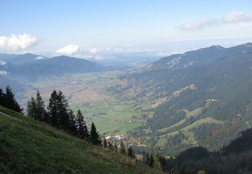 IMG 0602