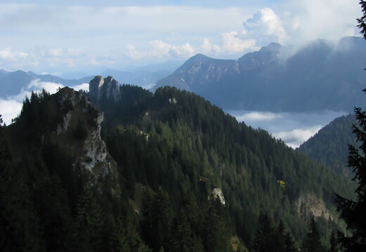 IMG 0607