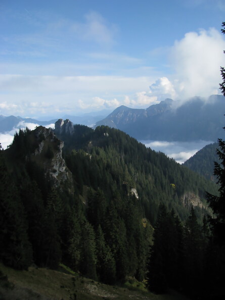 IMG_0607.jpeg